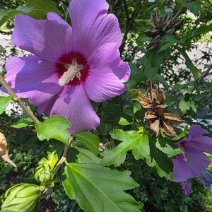 Meet your Posher, Felicia